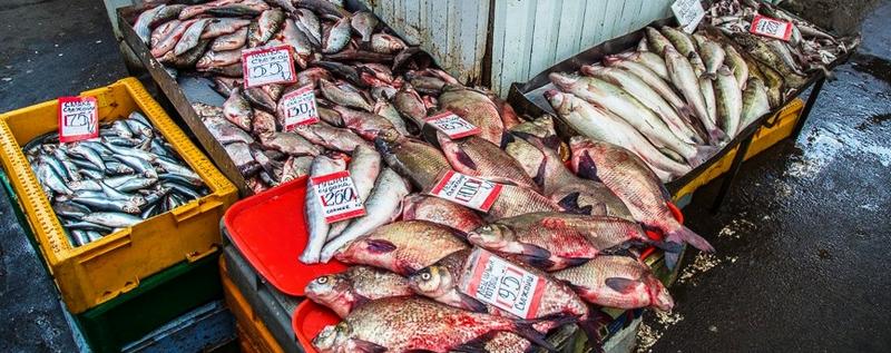 Продажа рыбы на рынке