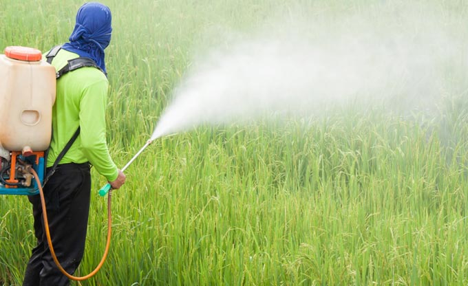 Использование ртути в качестве пестицида